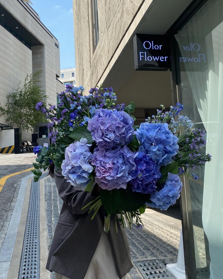올로르플라워OlorFlower 이미지