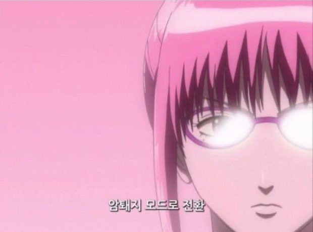 고양이편지 이미지