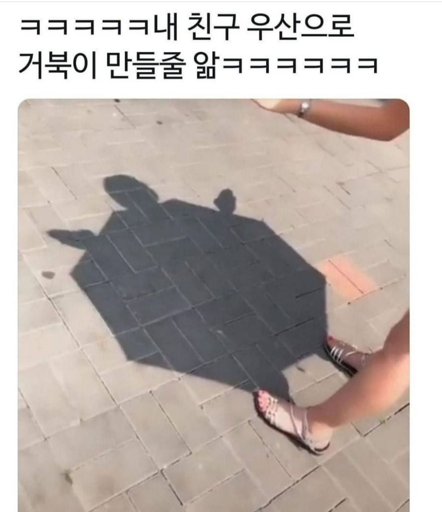 콩시루 이미지