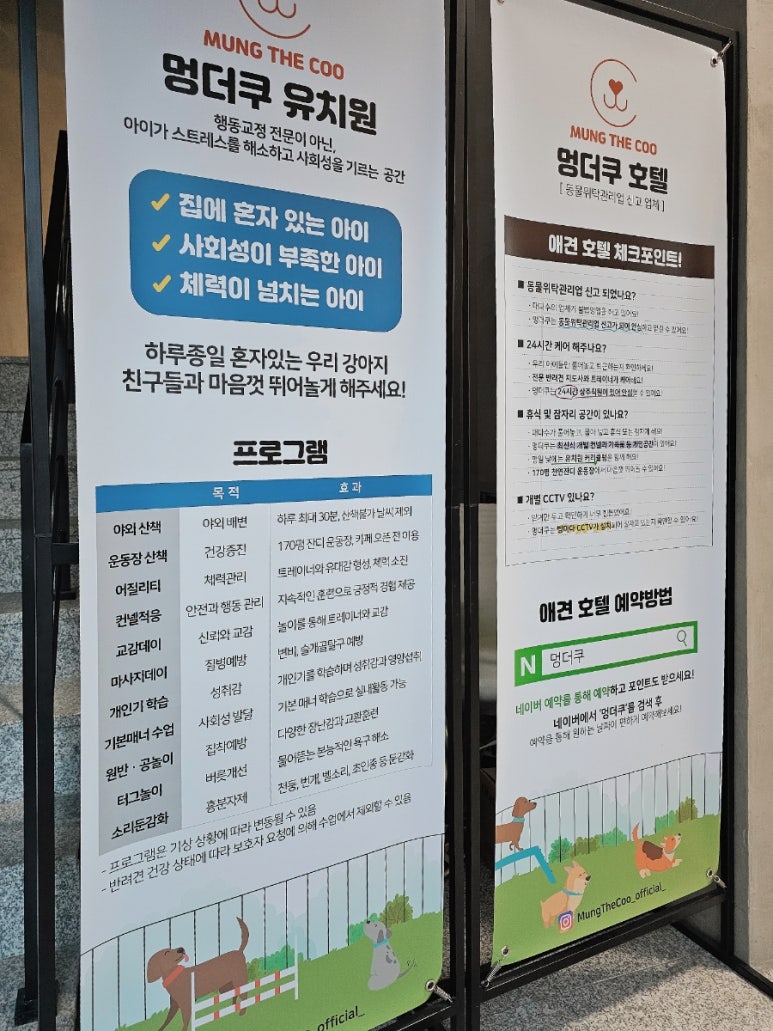 카페 더쿠 이미지