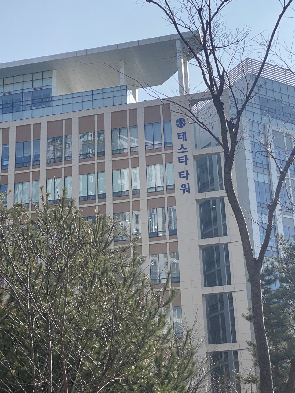 드림디포미사테스타 이미지
