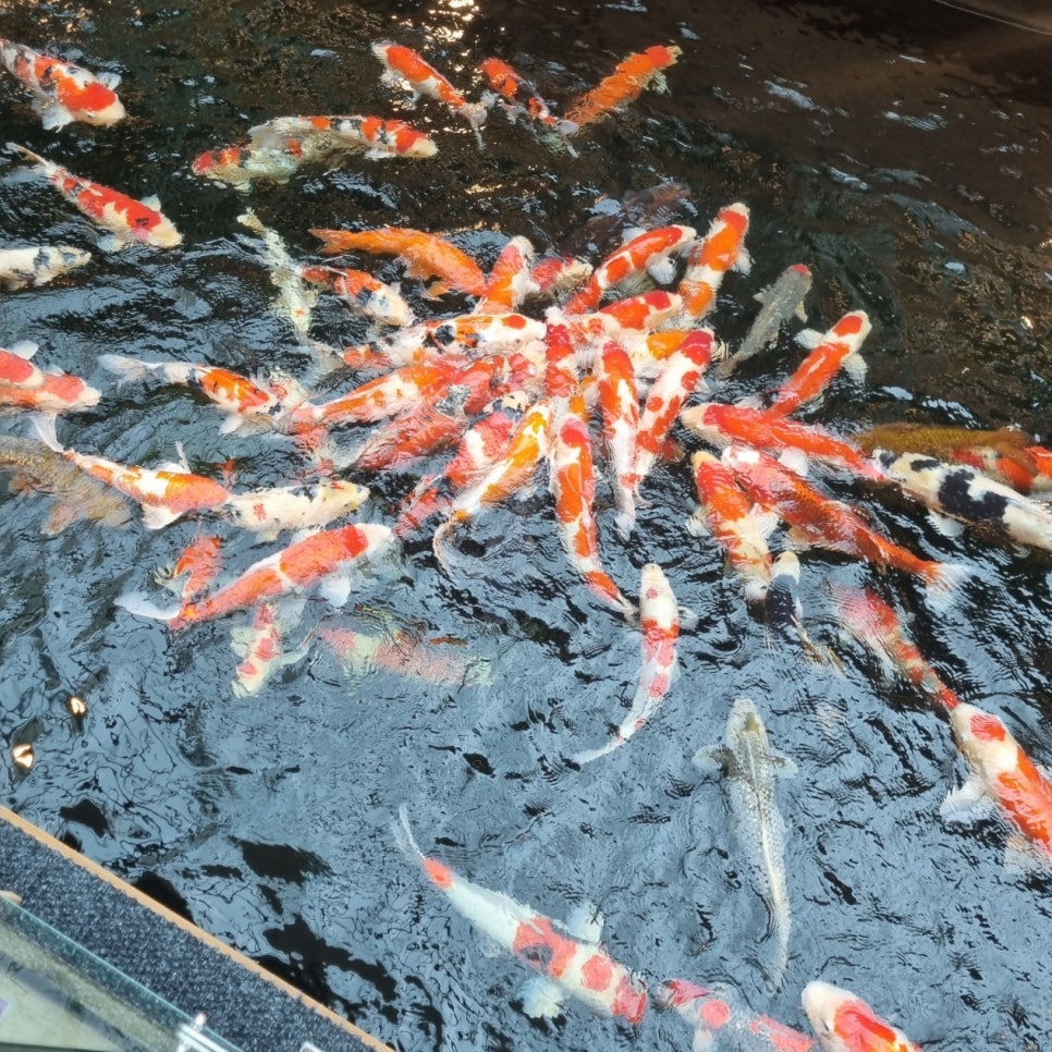 커피앤던 이미지