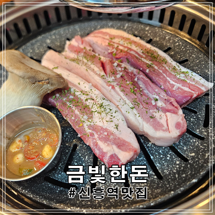 금빛한돈 이미지