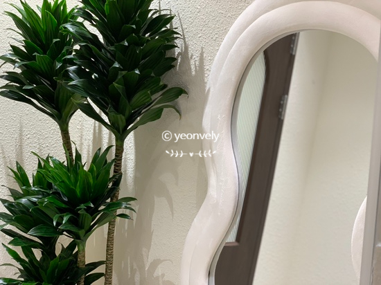 모모니쿠 이미지