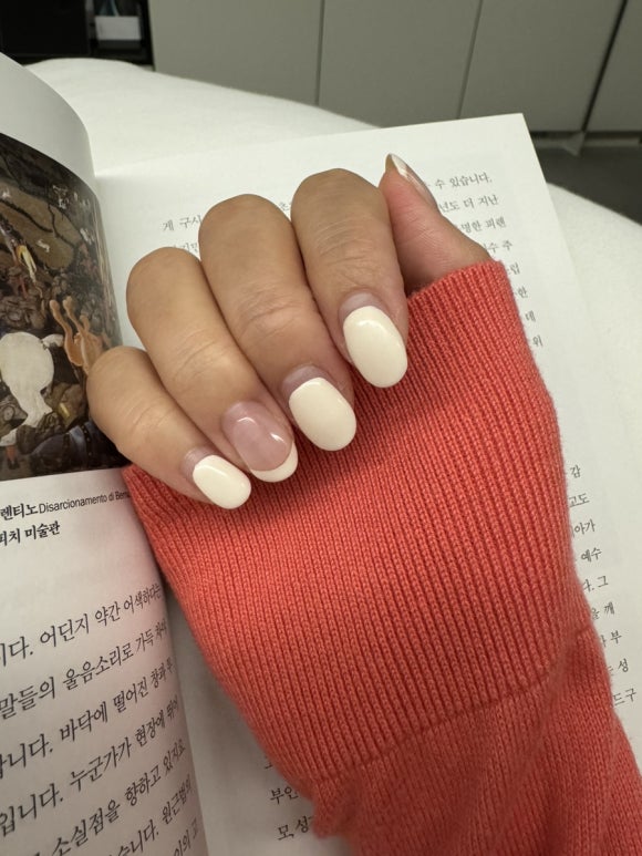 네일리르 이미지