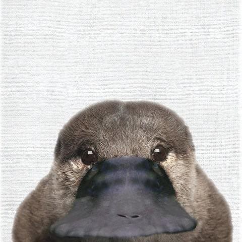장평집 이미지