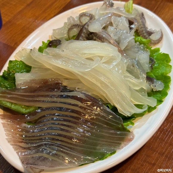 소풍나온 산오징어 사진 6