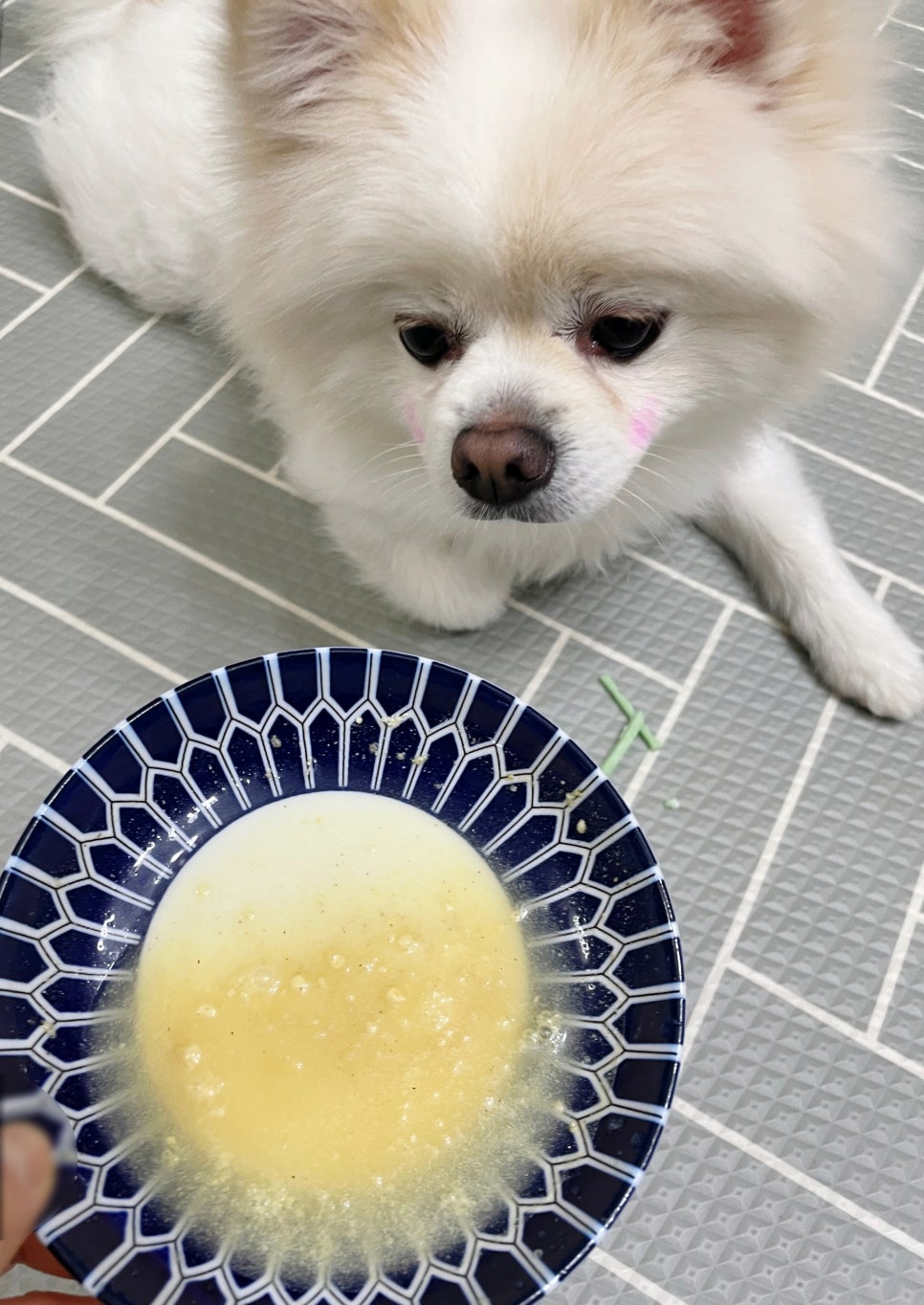 푸른종합개발 이미지