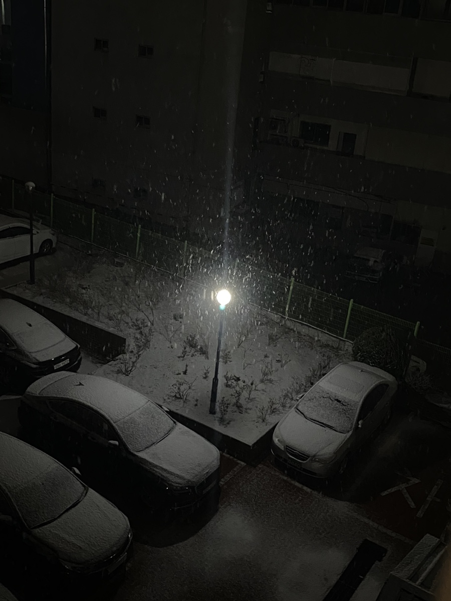 울산정자참가자미회타운 이미지