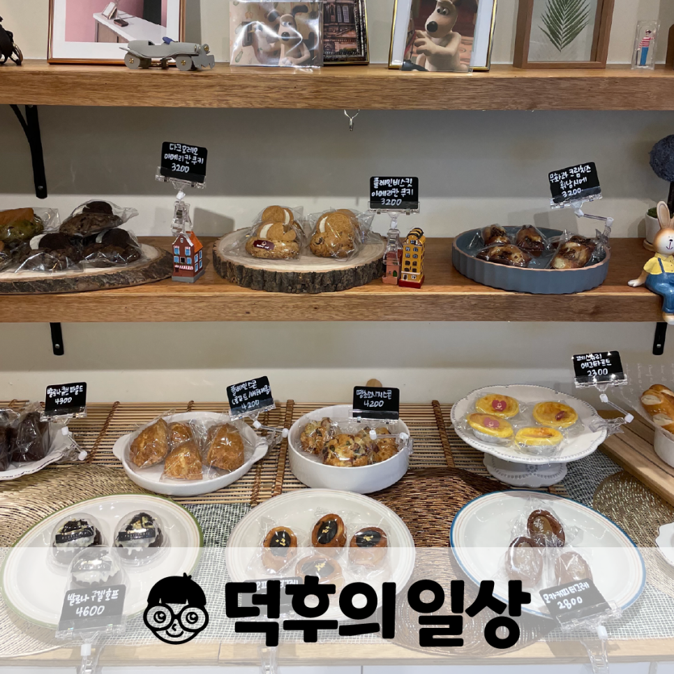 베이키코프 이미지