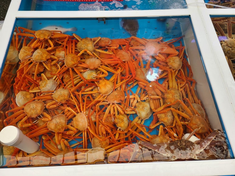 매일회대게시장 이미지