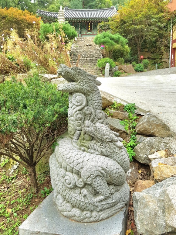 광선사 이미지