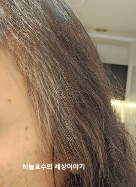 OASSA(오아사) 이미지