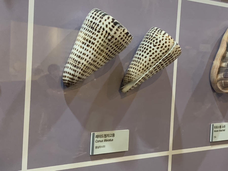 오만가지수산 이미지