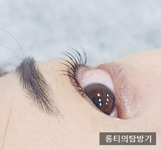 나츠래쉬 이미지