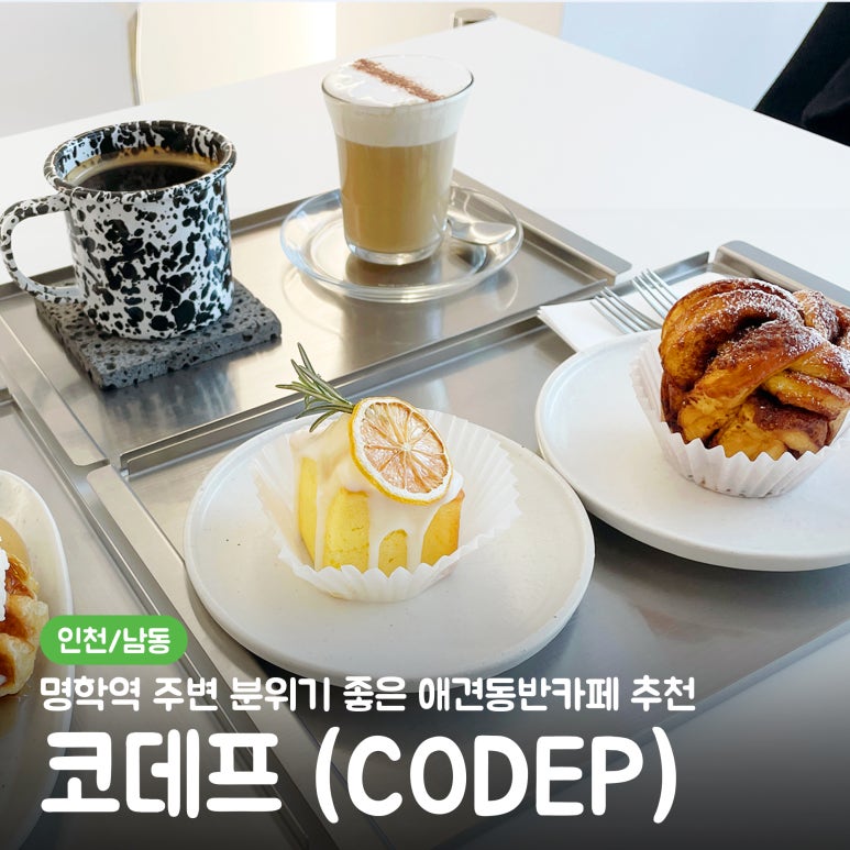 코데프 이미지