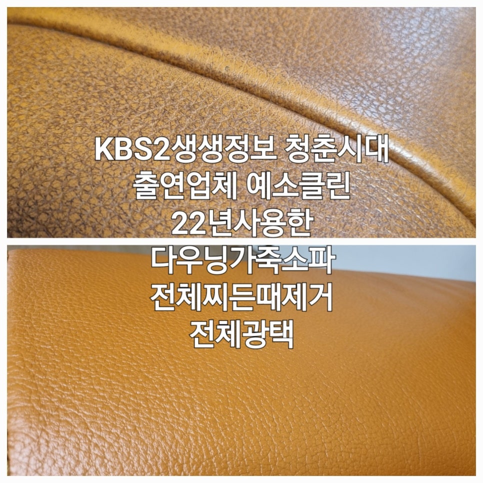 예소 이미지