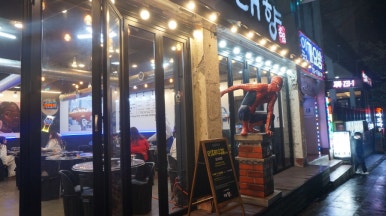 대향흑돼지 이미지