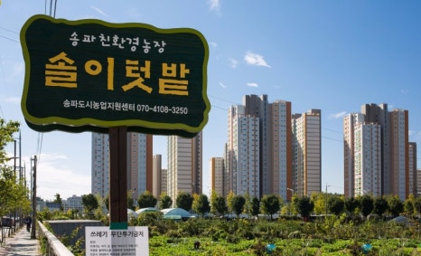 봄에솔이 이미지