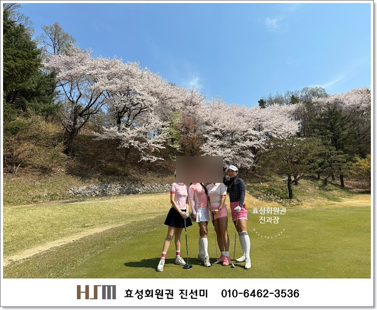 (주) 효성회원권 이미지