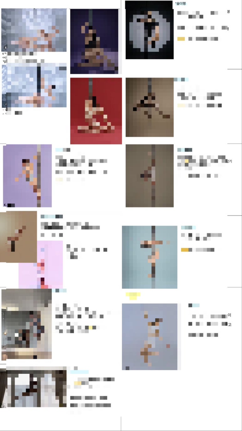 비샤인 이미지