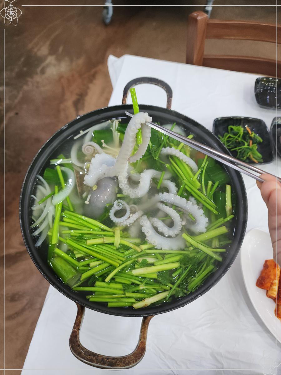 낙지대통령 이미지
