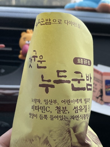 사우스마린스파펜션 이미지