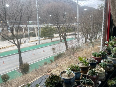 초성가든 이미지