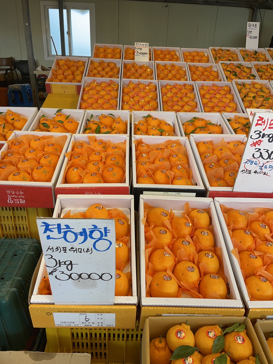 오빠네과일야채 이미지