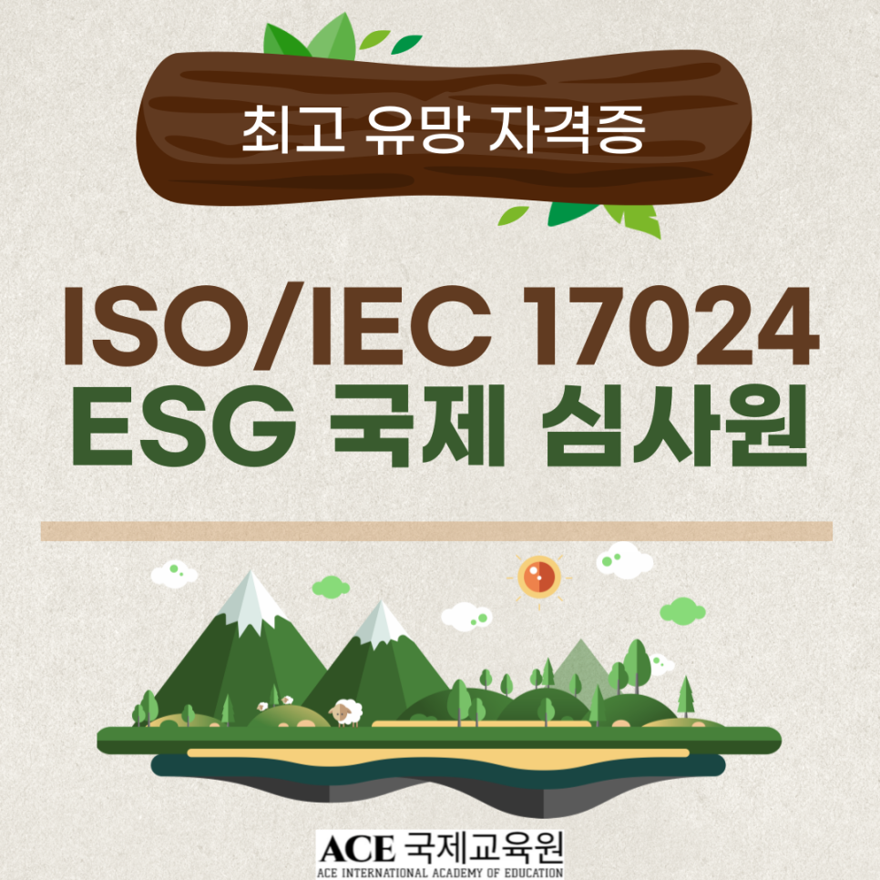 에이스국제교육원 이미지