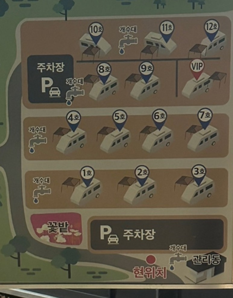 하버드카라반 이미지