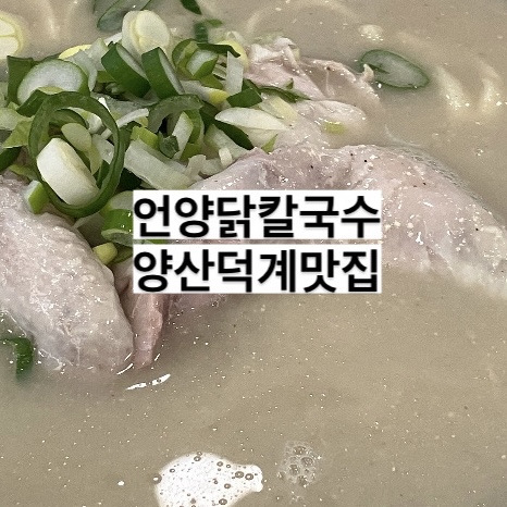 언양닭칼국수양산덕계점 이미지