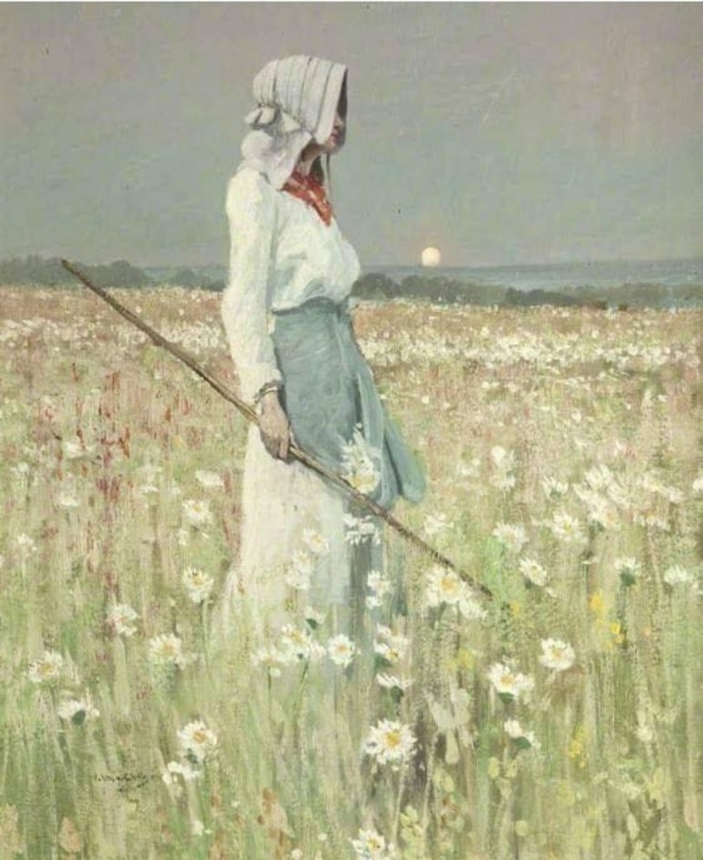양꽂히다 이미지