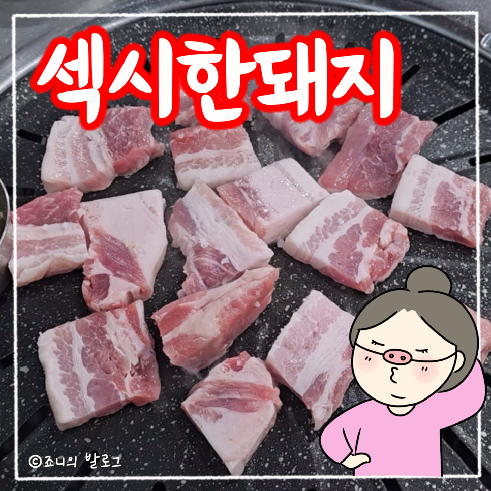 섹시한돼지 이미지