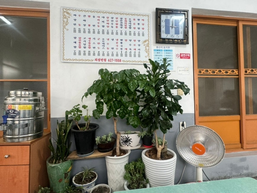 의성반점 이미지