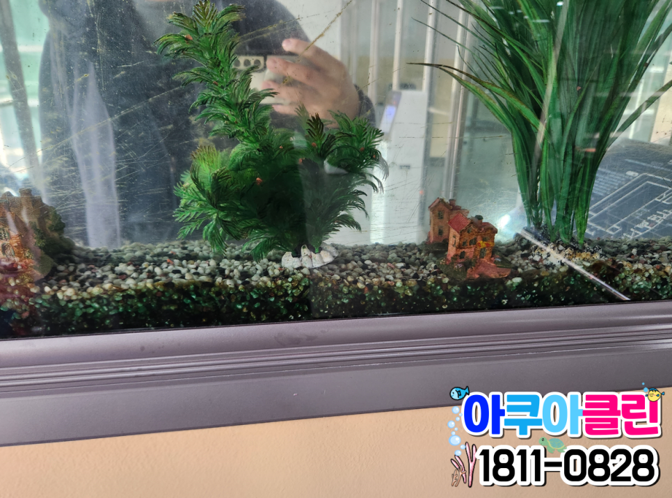매니아수족관 이미지