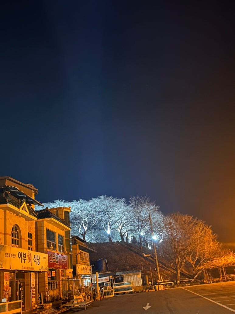 새터식당 이미지
