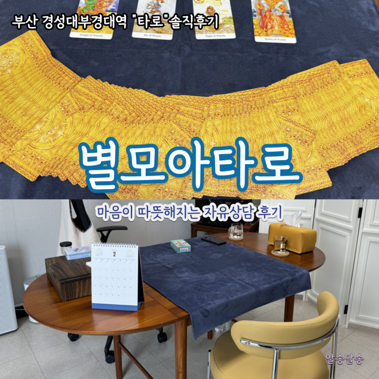별모아타로 이미지
