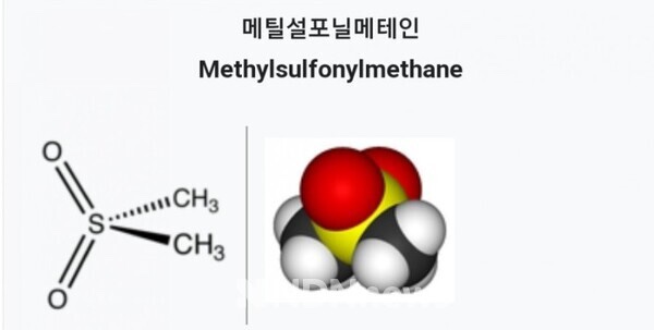 (주)지텍디피엠 이미지