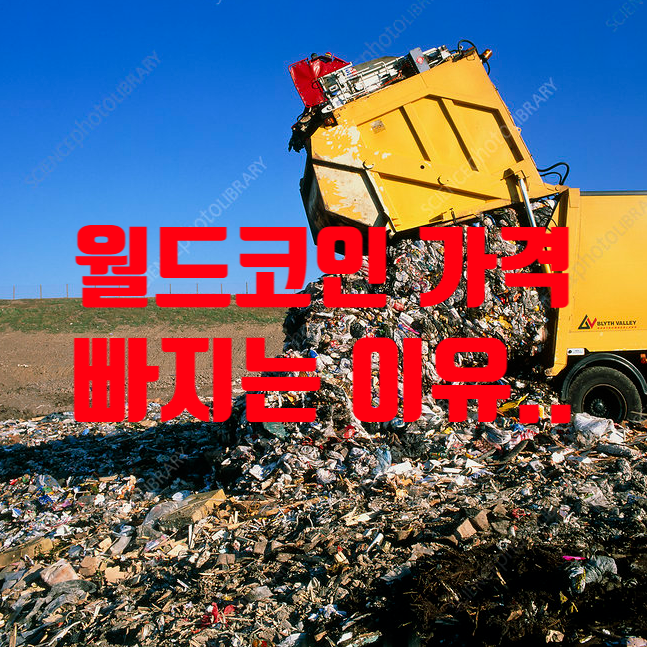 세온세무회계 이미지