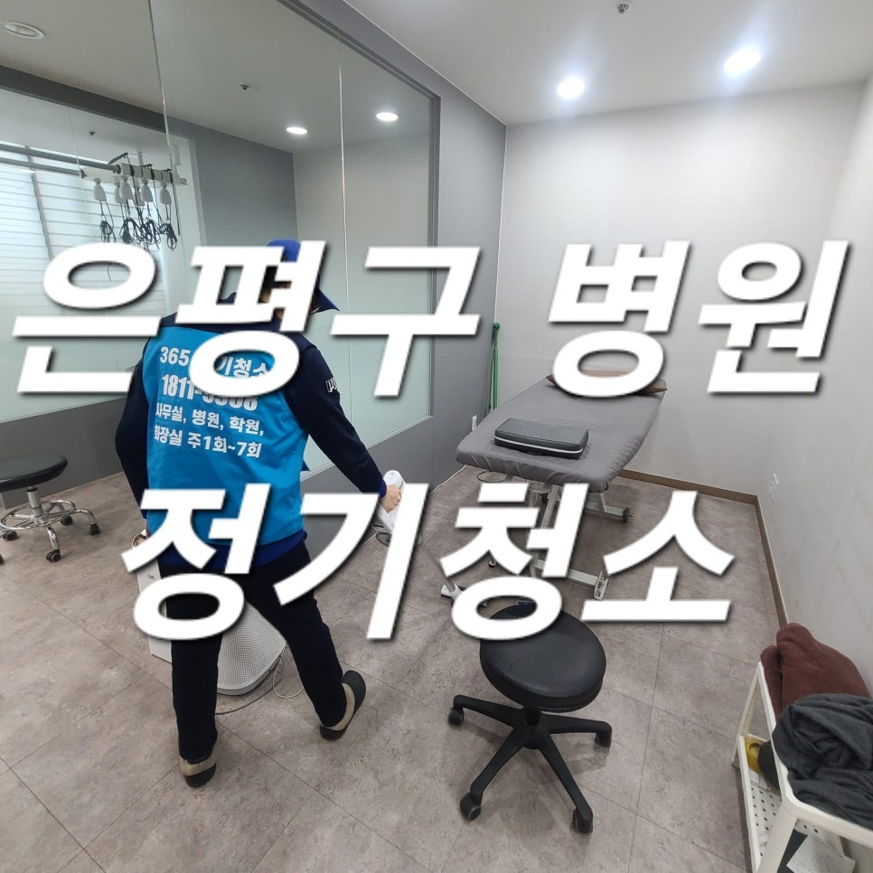 돌핀크린 이미지