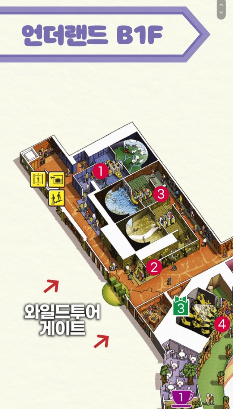 와일드랜드투어 이미지