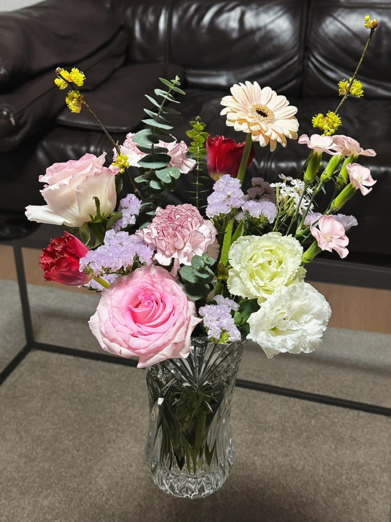 발레드무이 이미지