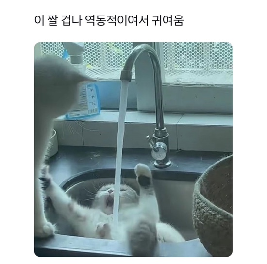 장평집 이미지