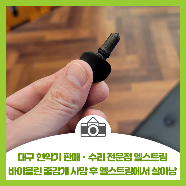 엘스트링 이미지