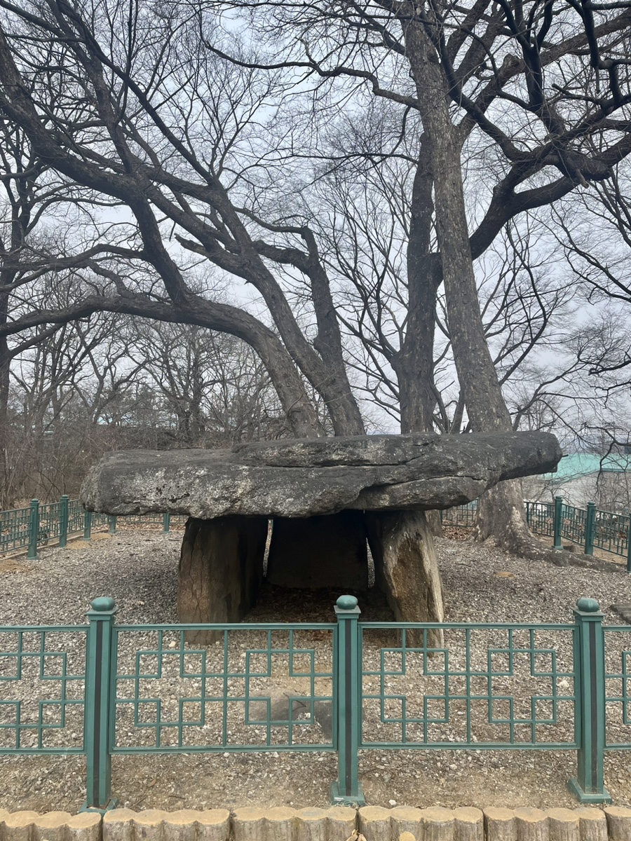 거북이생고기식당 이미지