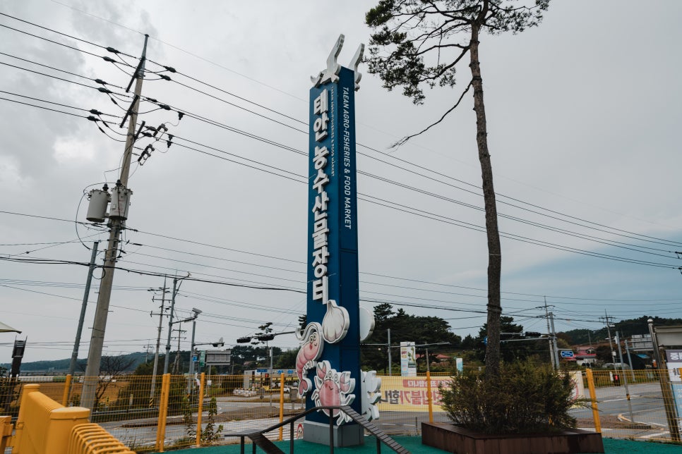 특산품직매장 이미지