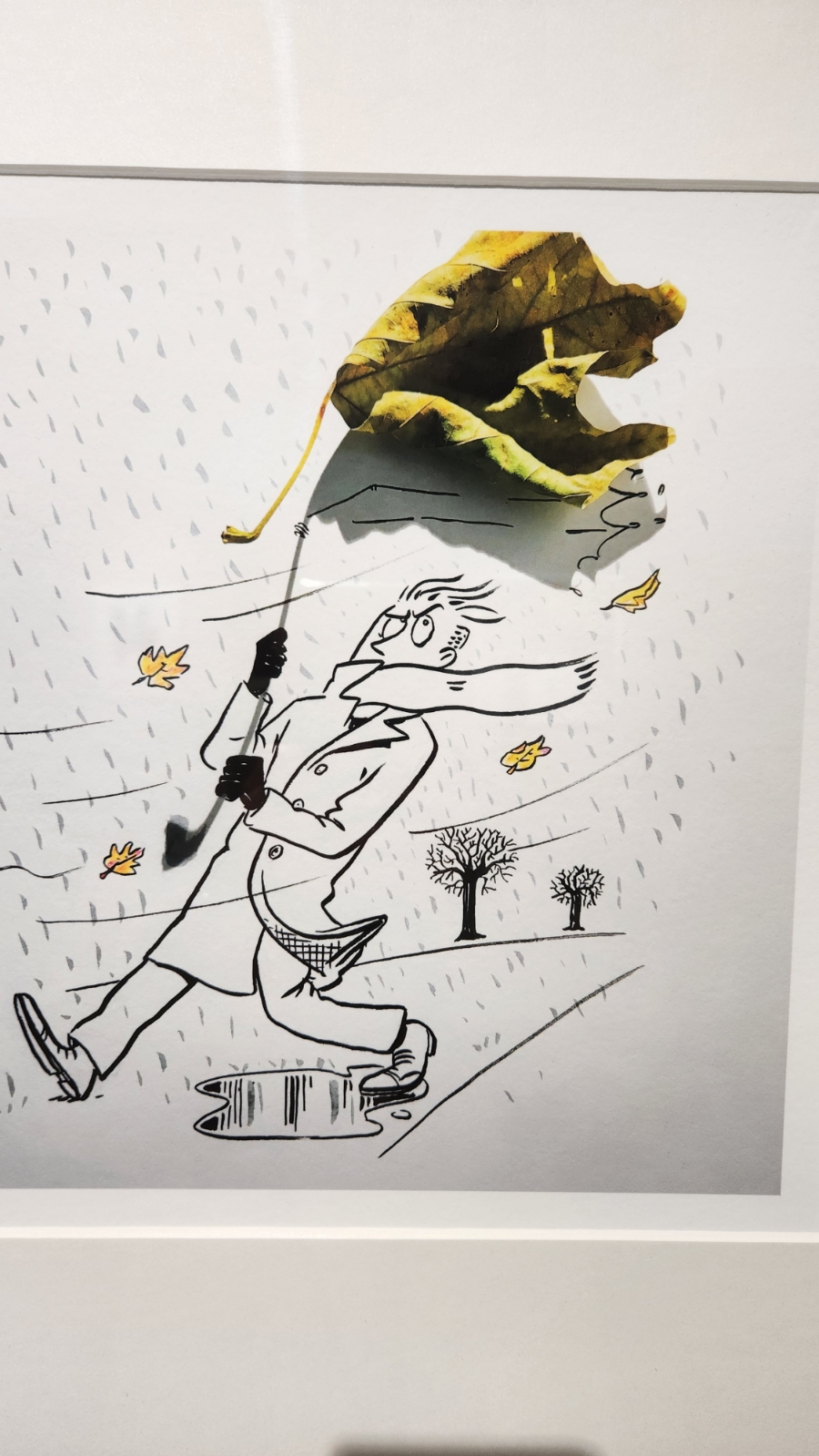 날라리물고기 이미지