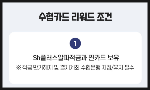 플러스알파 이미지