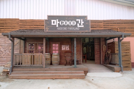 안성승마클럽 이미지
